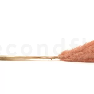 Dried Mini Pampa Peach (set of 15)