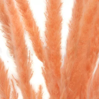 Dried Mini Pampa Peach (set of 15)