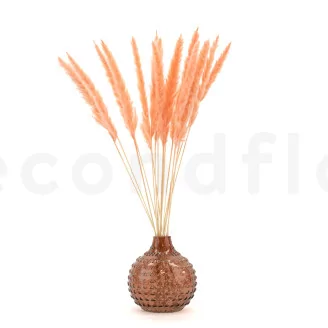 Dried Mini Pampa Peach (set of 15)