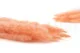 Dried Mini Pampa Peach (set of 15) 6