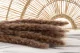 Dried Mini Pampa Natural (set of 15) 3