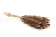 Dried Mini Pampa Natural (set of 15) 8