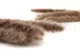 Dried Mini Pampa Natural (set of 15) 6