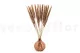 Dried Mini Pampa Natural (set of 15) 7