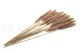 Dried Mini Pampa Natural (set of 15) 5