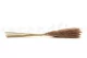 Dried Mini Pampa Natural (set of 15) 4