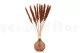 Dried Mini Pampa Terracotta (set of 15) 7