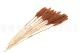 Dried Mini Pampa Terracotta (set of 15) 5