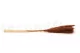 Dried Mini Pampa Terracotta (set of 15) 4