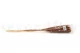 Dried Mini Pampa Terracotta (set of 15) 11