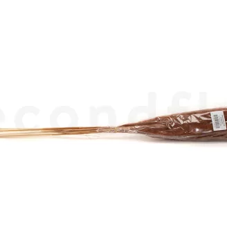 Dried Mini Pampa Terracotta (set of 15)