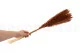 Dried Mini Pampa Terracotta (set of 15) 2