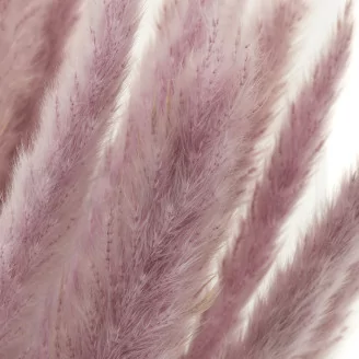 Dried Mini Pampa Lilac (set of 15)