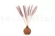 Dried Mini Pampa Lilac (set of 15) 7