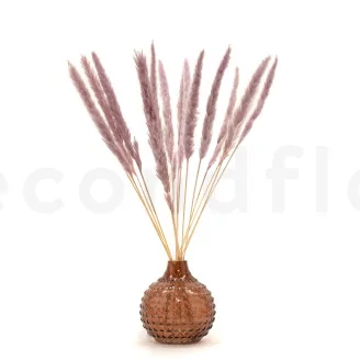 Dried Mini Pampa Lilac (set of 15)