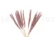 Dried Mini Pampa Lilac (set of 15) 10