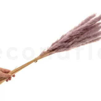 Dried Mini Pampa Lilac (set of 15)