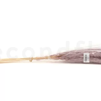 Dried Mini Pampa Lilac (set of 15)