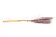 Dried Mini Pampa Lilac (set of 15) 4