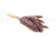 Dried Mini Pampa Lilac (set of 15) 8