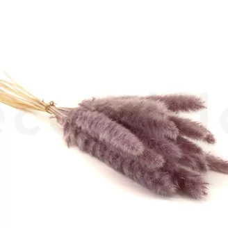 Dried Mini Pampa Lilac (set of 15)