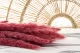 Dried Mini Pampa Magenta (set of 15) 3