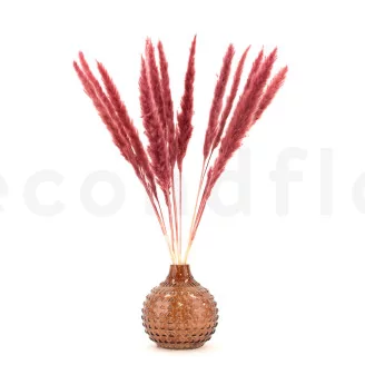 Dried Mini Pampa Magenta (set of 15)