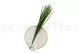 Preserved Miscanthus 2