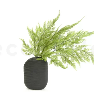Preserved Tabalia Fern