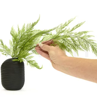 Preserved Tabalia Fern