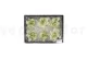 Preserved Gardenia Two-Toned White & Green (set of 6) 6
