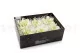 Preserved Gardenia Two-Toned White & Green (set of 6) 7