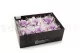 Preserved Gardenia Two-Toned White & Purple (set of 6) 7