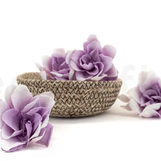 Preserved Gardenia Two-Toned White & Purple (set of 6)