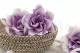 Preserved Gardenia Two-Toned White & Purple (set of 6) 10