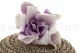 Preserved Gardenia Two-Toned White & Purple (set of 6) 8