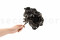 One Bouquet of Black Preserved Hydrangea with and without Packaging