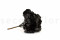 One Bouquet of Black Preserved Hydrangea with and without Packaging