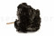 One Bouquet of Black Preserved Hydrangea with and without Packaging