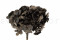 One Bouquet of Black Preserved Hydrangea with and without Packaging