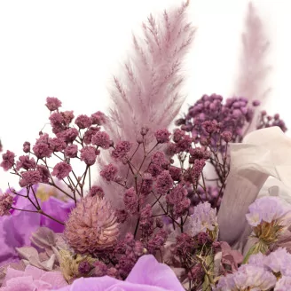 Preserved Baby's Breath Gypsophila Dusty Rose