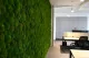 Preserved Pole Moss Nature Green (Box) 8
