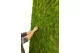 Preserved Pole Moss Light Green (Bulk Box) 12