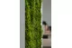 Preserved Long Moss (Box) 9
