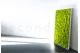 Preserved Reindeer Moss Lime Green (Bulk Box) 10