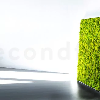 Preserved Reindeer Moss Lime Green (Bulk Box)
