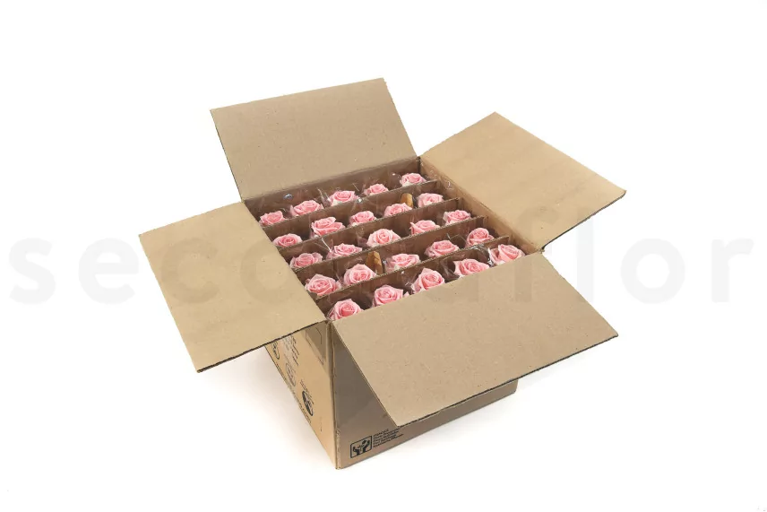 Preserved Rose on stem 12" Light Pink (x25)