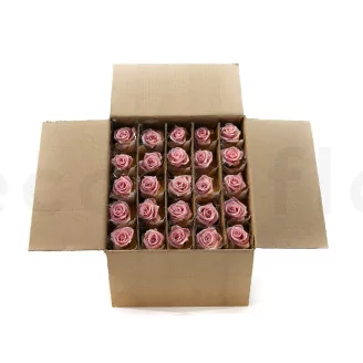 Preserved Rose on stem 12" Light Pink (x25)