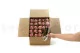 Preserved Rose on stem 12" Light Pink (x25) 5