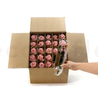 Preserved Rose on stem 12" Light Pink (x25)